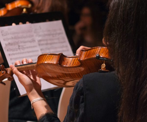 istitutomusicaleaosta