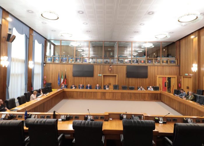 iv commissione