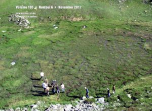 L'anteprima della copertina del numero di novembre di The Journal of Ecology