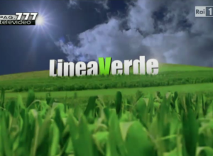 Linea Verde Raiuno
