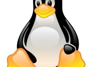 Il simbolo di Linux
