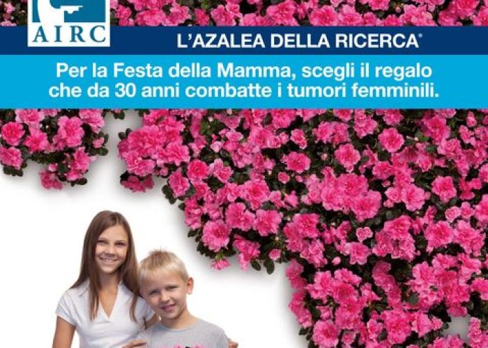 La locandina dell'iniziativa