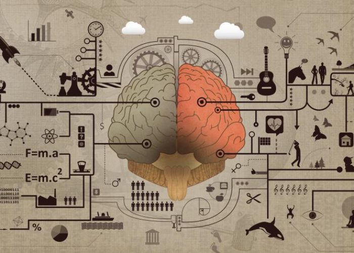 Learning and Education Brain Functions Development Concept