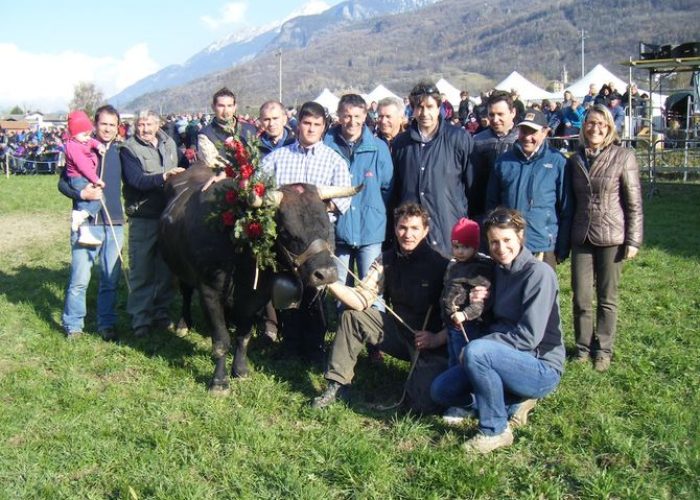 Mandoline di Gildo Bonin di Gressan, reina di 2° categoria