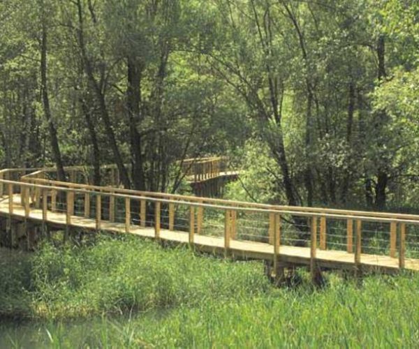 Riserva naturale del Marais