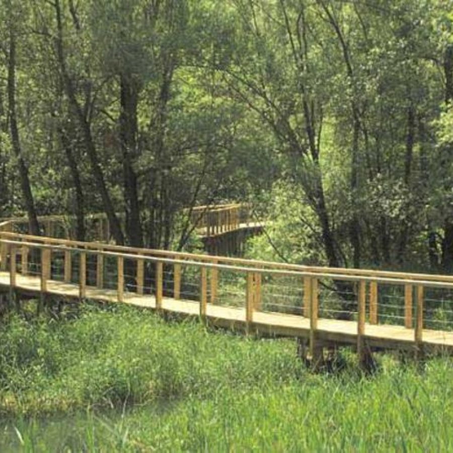 Riserva naturale del Marais