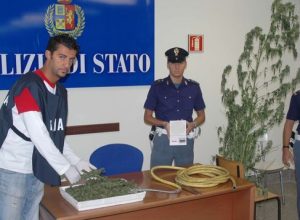 la marijuana sequestrata