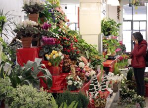 Al' mercato coperto di Aosta, la bancarella di fiori e pianti - immagine di archivio