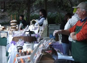 Marché au Fort 2011