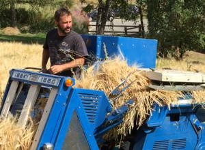 Michel Becquet al lavoro nei campi