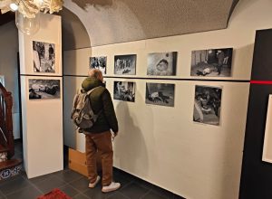 mostra Lannino