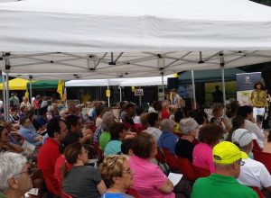 non solo show cooking