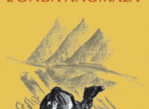 L'onda anomala di Barbara Tutino