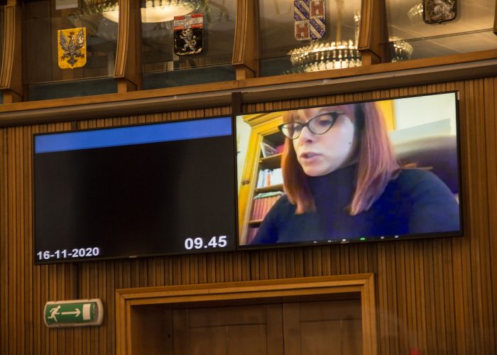 Audizione parlamentari