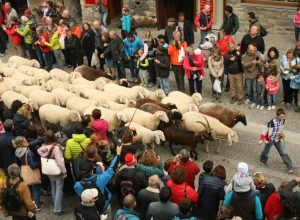 Devétéya a Cogne