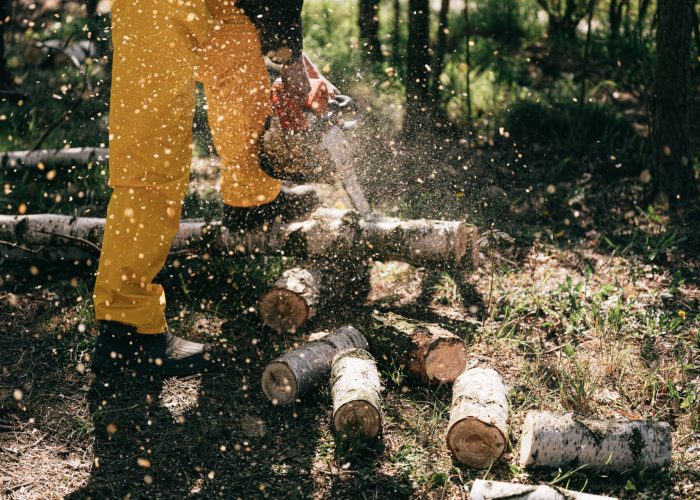 boscaiolo, operaio forestale