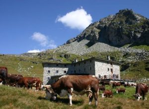 Rifugio Arp - ThreeSixty © 2009