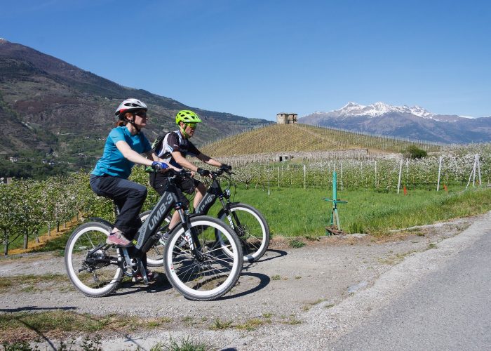 Escursione in bicicletta tra i vigneti