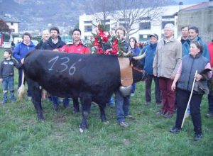 Ribella di Marco Démoz, vincitrice in prima categoria