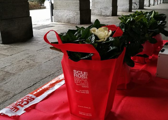 "La gardenia di Aism"