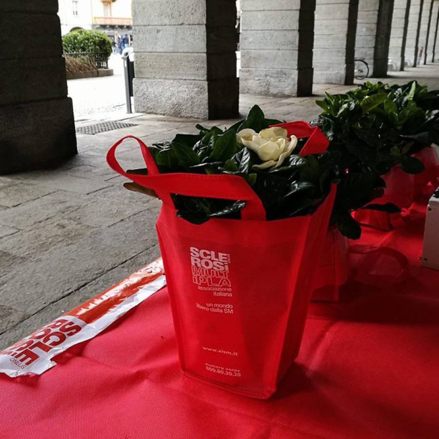 "La gardenia di Aism"