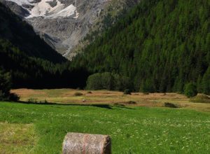 Prati di Sant’Orso di Alberto Panzani di Milano