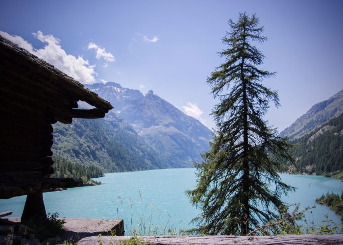 Il rascard del lago di Place Moulin