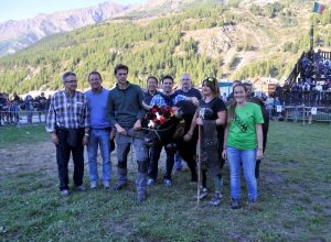 Regy di Massimiliano Garin, Reina di prima categoria