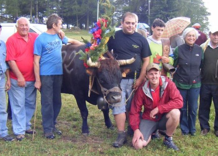 Reina1Cat - Bandit di Réan-Challancin di Fénis