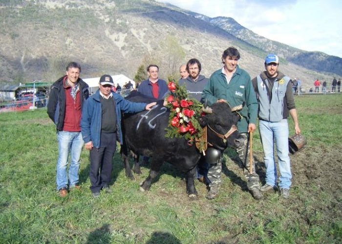 Villa di Livio Pervier di Aosta, reina di prima categoria