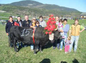 Reina di 1a categoria
