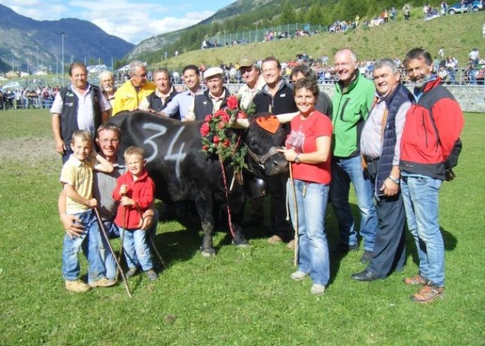 Saphir di Stefano Mosquet di Brissogne