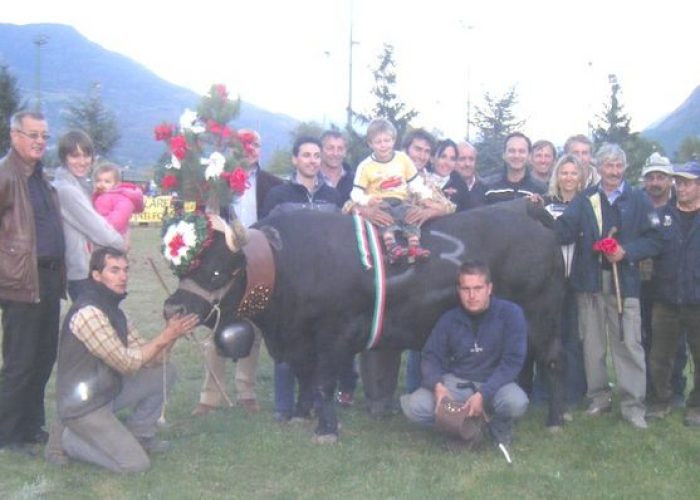 Shakira di Gildo Bonin di Gressan