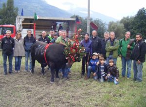 Bandit di Stefano Pepelin di Saint-Christophe