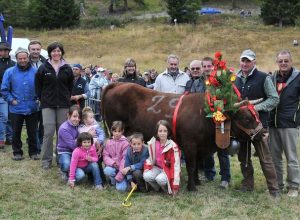 Reinetta (505 kg) di Renzo Marquis di Verrayes
