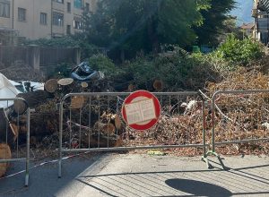 rimozione alberi caduti in via Pollio Salimbeni