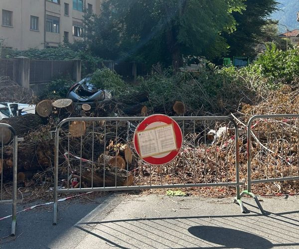 rimozione alberi caduti in via Pollio Salimbeni