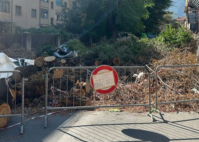 rimozione alberi caduti in via Pollio Salimbeni