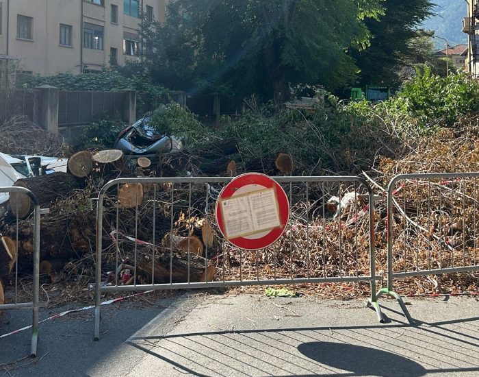 rimozione alberi caduti in via Pollio Salimbeni