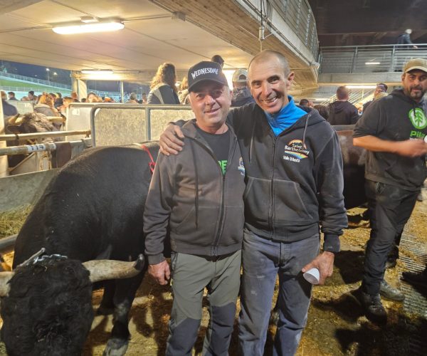 Renzo Rosset, a sinistra, insieme all'amico di sempre Italo Arlian nelle stalle della Regionale: i due hanno vinto in terza e seconda categoria con Falchetta e Tiky