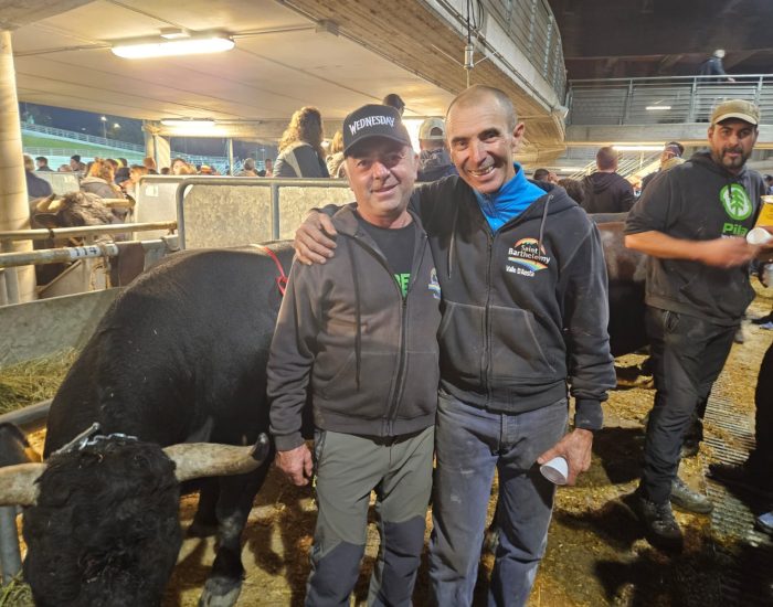 Renzo Rosset, a sinistra, insieme all'amico di sempre Italo Arlian nelle stalle della Regionale: i due hanno vinto in terza e seconda categoria con Falchetta e Tiky