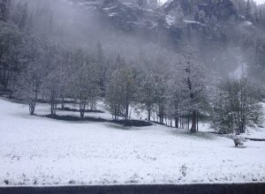 Gressoney-Saint-Jean 14 maggio