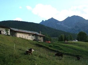 Champremier di Saint-Marcel