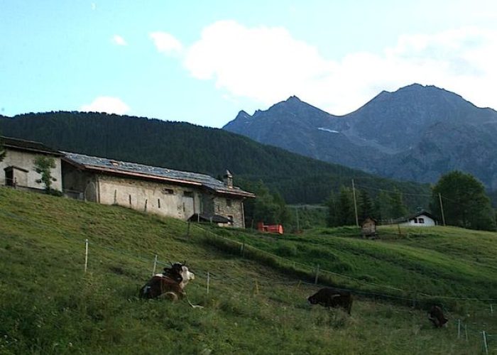 Champremier di Saint-Marcel