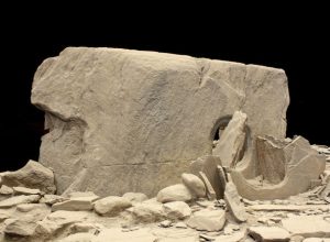 Una tomba rinvenuta presso l'area megalitica di Saint-Martin de Corléans