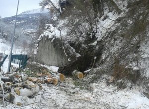 alberi caduti sulla strada che porta a Saumont