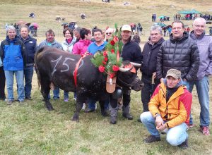 Sauvage di Dino Bionaz, vincitrice della seconda categoria