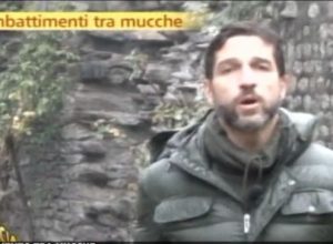 Alcune immagini del servizio di Striscia sulle Batailles de Reines