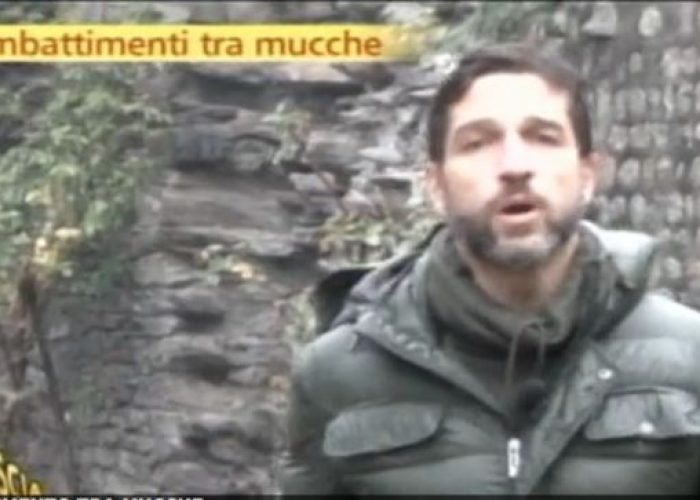 Alcune immagini del servizio di Striscia sulle Batailles de Reines