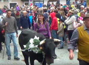 Devétéya a Cogne